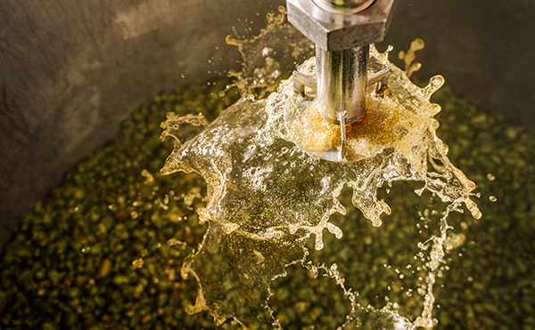 Washing hops to brew beer.